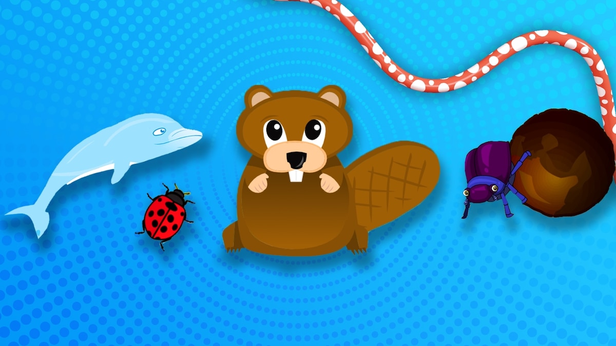 National Geographic Kids Games — National Geographic Kids